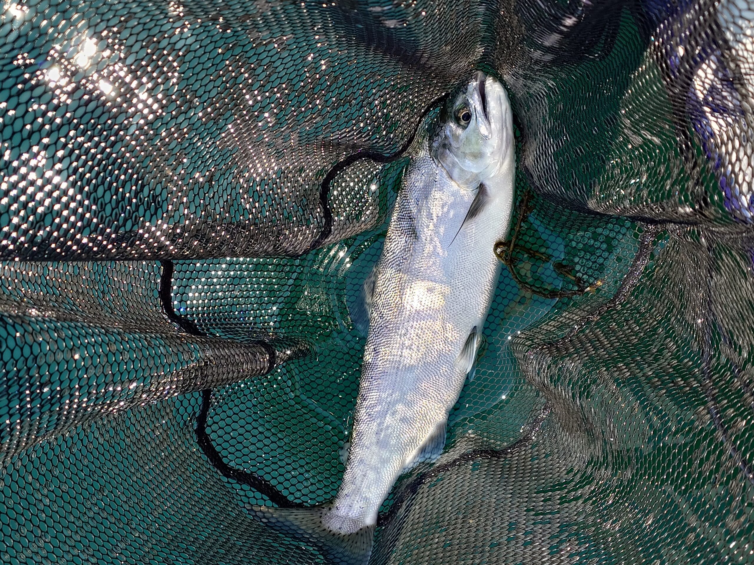 滋賀県　持ち込みタイヤ交換　【garage402】　近江八幡・持ち込みタイヤ　